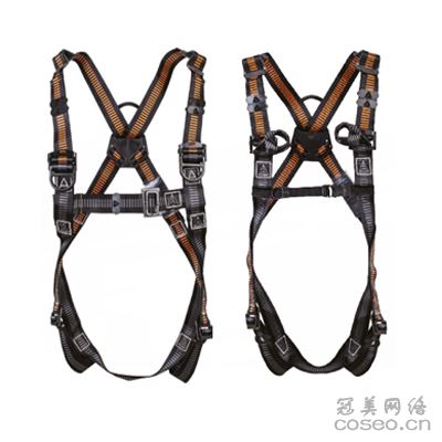 霍尼韦尔 DL单挂点全身式安全带