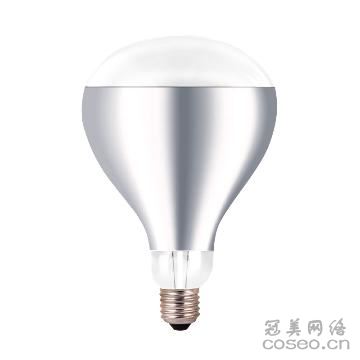 飞利浦 LED灯泡 LED